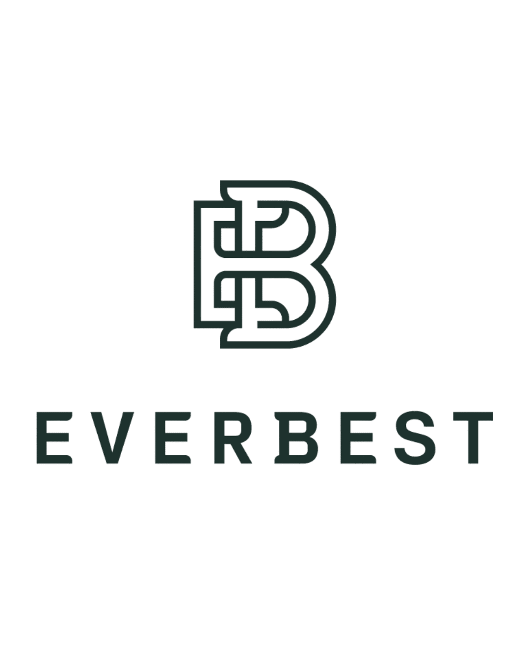 logo klien everbest
